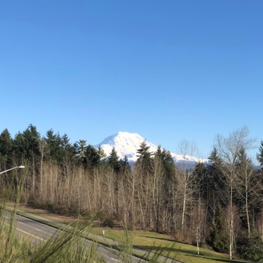 Meet your Posher, Jan